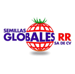 Semillas Globales RR SA de CV